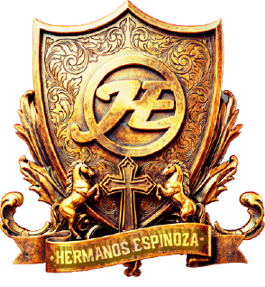 Bustos
